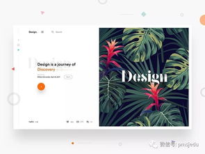 版式之美 12张优秀UI设计作品欣赏与图文排版灵感解析